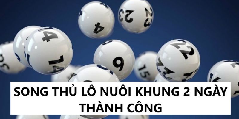 Tổng hợp những cách chơi song thủ lô nuôi khung 2 ngày để trúng lớn