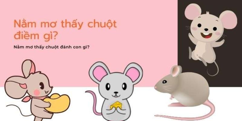 Báo hiệu điều gì khi mơ thấy chuột