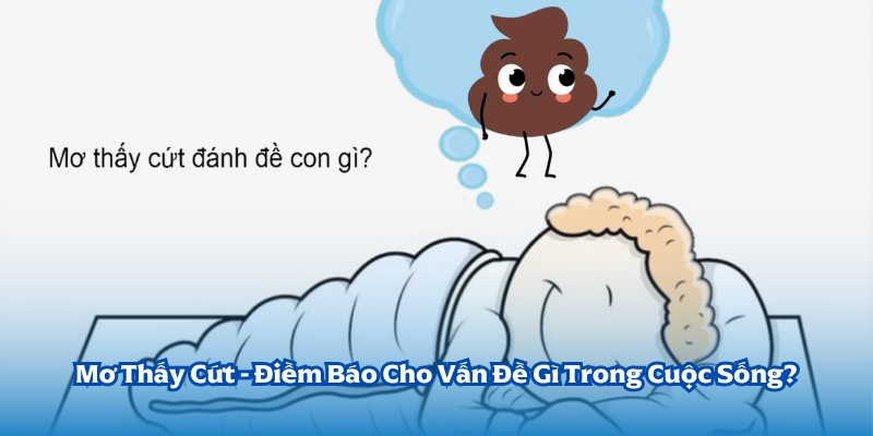 mơ thấy cứt