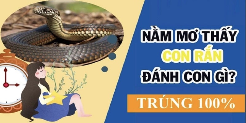 Thử sức với những con đề lấy vận may từ giấc mơ thấy rắn hổ mang