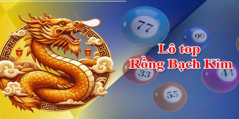 Rồng bạch kim gợi ý những con lô thường xuyên rơi ra và đẹp nhất