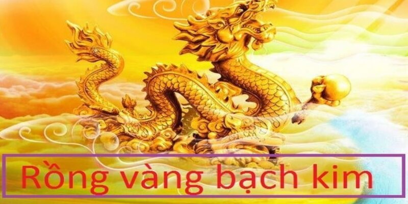 Trang rồng bạch kim luôn có các con lô được thống kê sẵn đấy nhé!