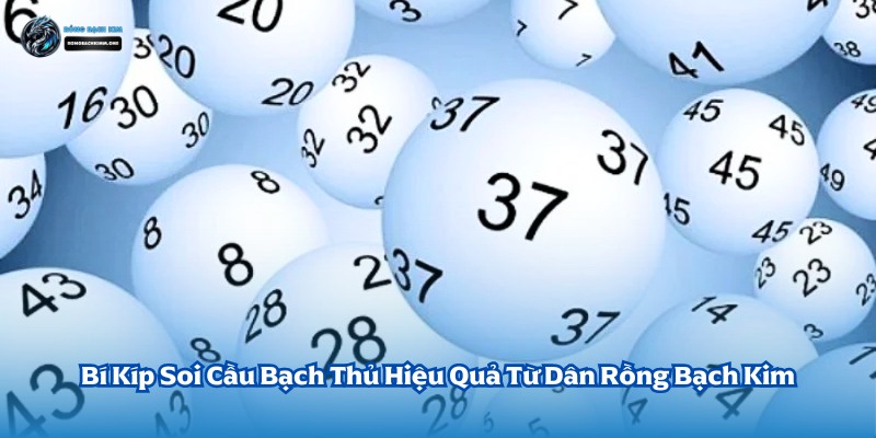 Tuyệt Chiêu Soi Cầu Bạch Thủ Từ Cao Thủ Rongbachkim