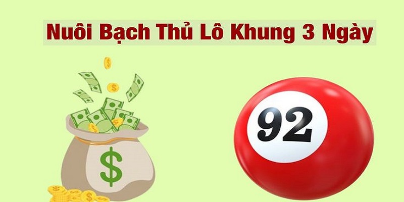 Những lựa chọn nuôi khung phổ biến khi soi cầu bạch thủ